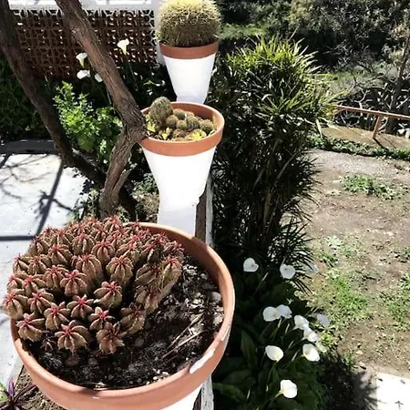 La Cueva Del Drago Casa vacanze *